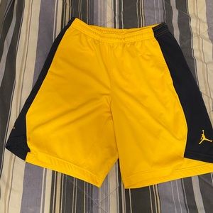 Air jordan michigan team shorts